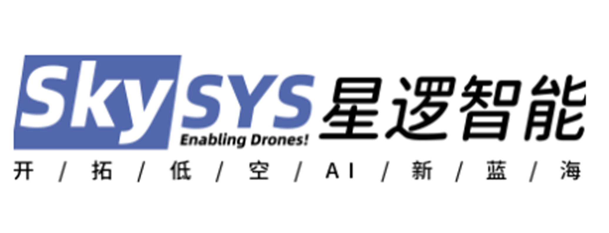 Skysys Intelligent Technology